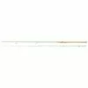 Berkley Flex Trout Spinning Rod 3.00m (3-18 Gr) -Hengels Verkoopwinkel Flex Trout300 2021 1549138 alt1 2