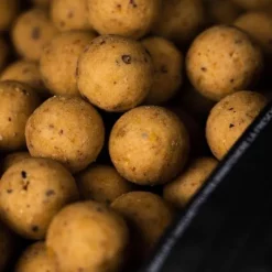 Mainline Shelf Life Boilies Cell 1kg -Hengels Verkoopwinkel cell boilies3 550x550 1