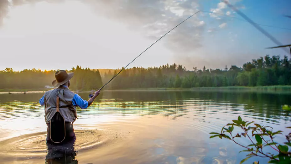 Hengels Verkoopwinkel -Hengels Verkoopwinkel ab48